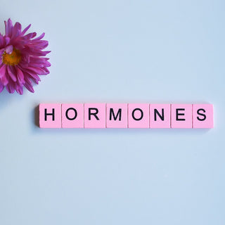 Der Einfluss von Hormonen auf die Vaginalgesundheit - ohtastic